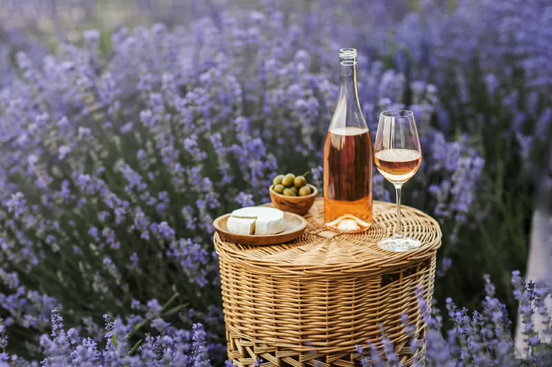 310183-800x533-provence-wine-region