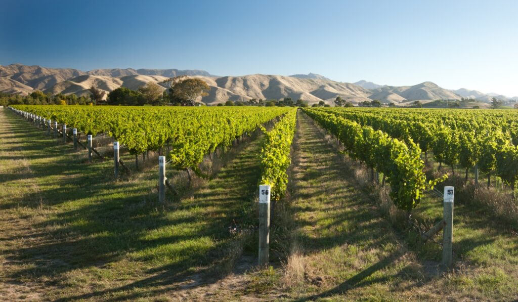 marlborough