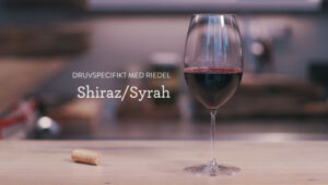 shiraz_thumb