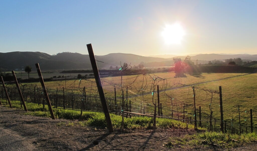 santa-rita-hills
