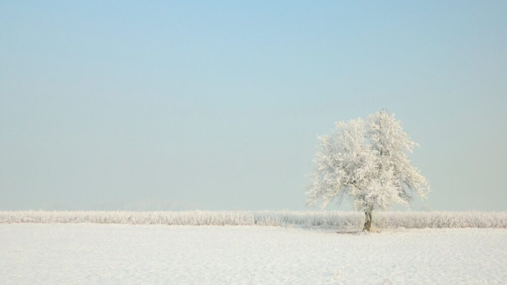 vit-januari