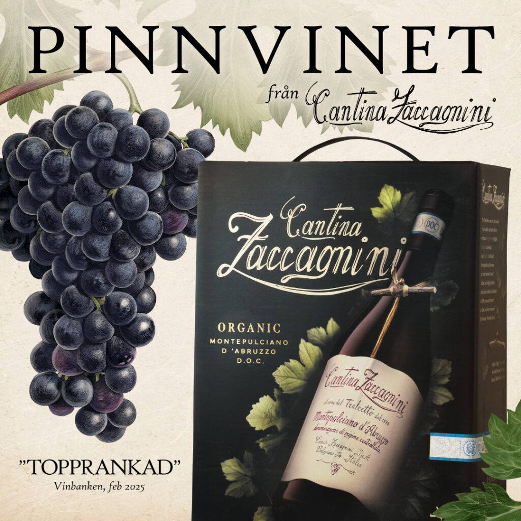 Cantina Zaccagnini Montelpulciano d’Abruzzo BIB – FS